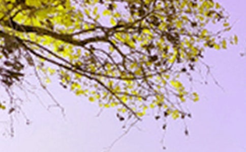 夜晚景色的句子15篇