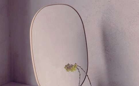 镜子的作文【热】