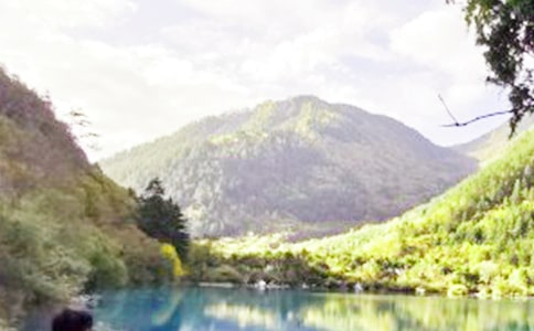 ��կ�����ģ�����15ƪ��