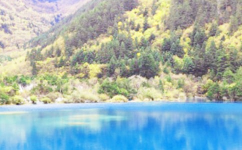 九寨沟之旅作文