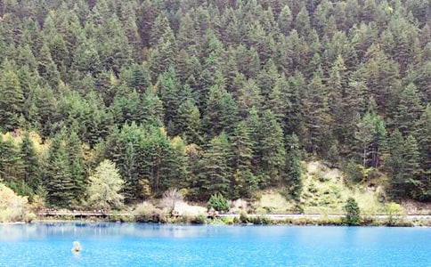 九寨沟之旅作文(9篇)