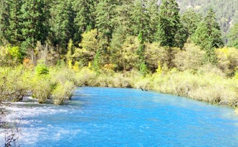 四川九寨沟游记作文