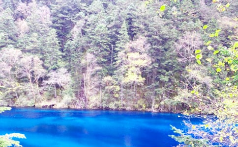 九寨沟的水现代文阅读题答案