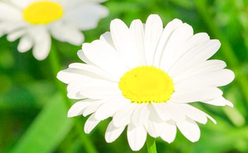 д�ջ�������