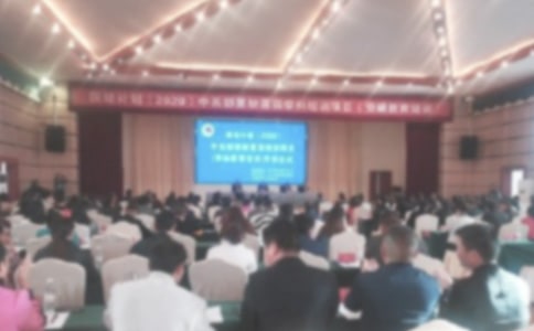 ������ʽ������