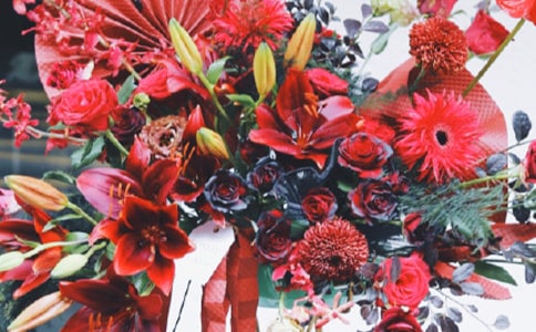 ���̿��ŵ�ף����(����15ƪ)