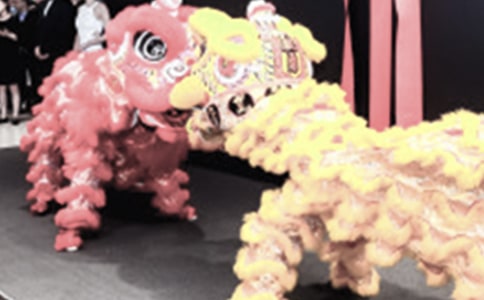 ���濪��ף����