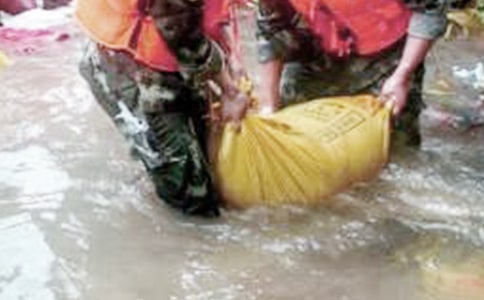 抗洪救灾作文(汇编9篇)