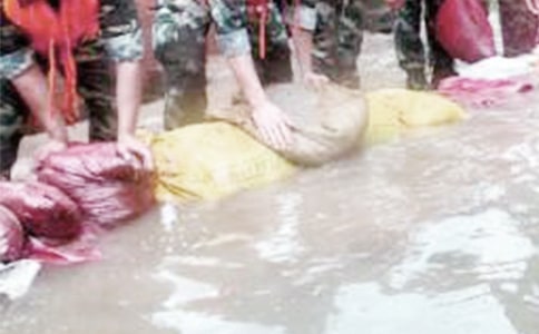 �����������3ƪ