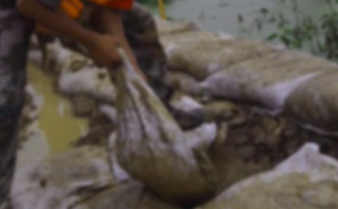 ������������2ƪ���ţ�