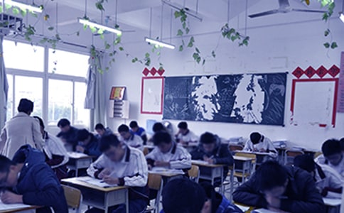 ���п������������ܽ�