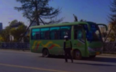 客运员春运日记600字