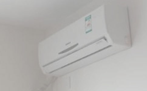 制造“空调”的黄蜂作文