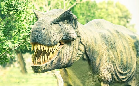 ����ϲ���Ŀ�������