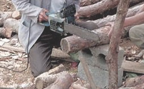 ú�����޹ʿ���������5ƪ