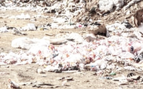 ���������ĵ����