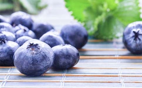 摘蓝莓作文(5篇)