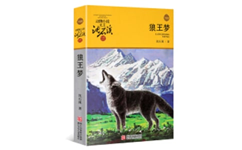 ���꼶�����ζ����