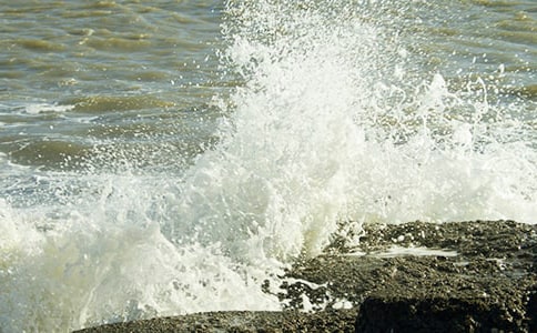 �˻�һ�������[�ϼ�3ƪ]