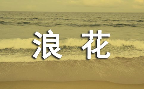 心海的那朵浪花作文