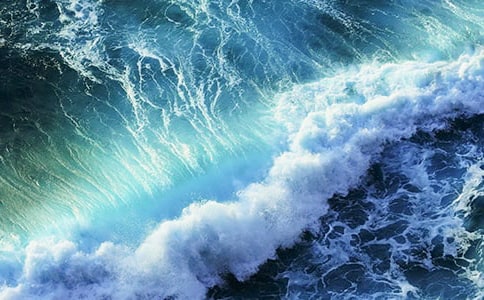 心中那朵浪花作文