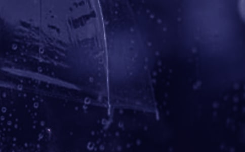 浪漫乌托邦作文