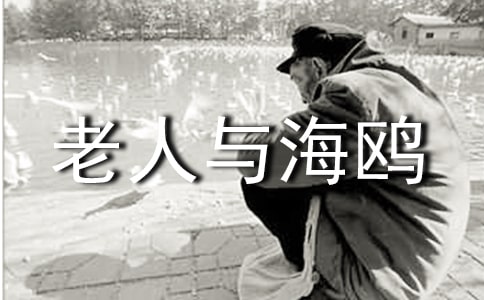 《老人与海鸥》读书心得(精选15篇)