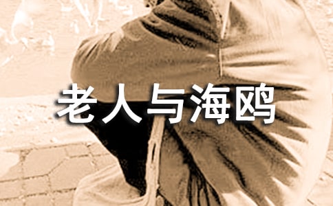 老人与海鸥读后感