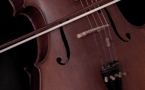 神奇的乐器作文【精】