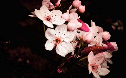 ��д�滨���������ӡ�����