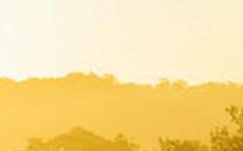 ƴ�������������