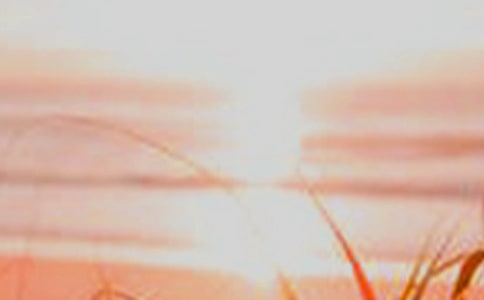 ����������6ƪ