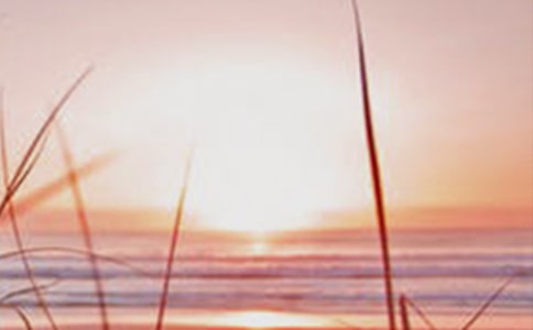 黎明的作文15篇