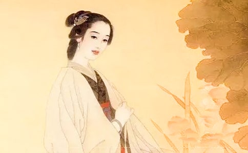 ������һ��÷�Ķ���|һ��÷�������Ķ���