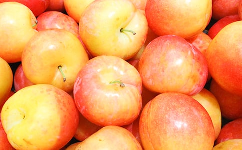 家乡的李子树作文(精选3篇)