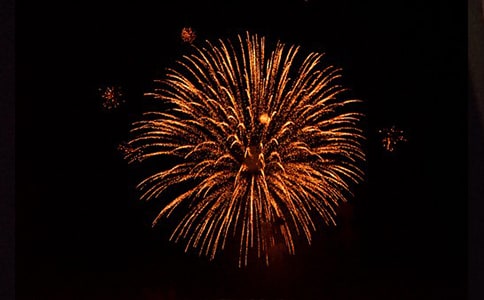 ���񻨵�����