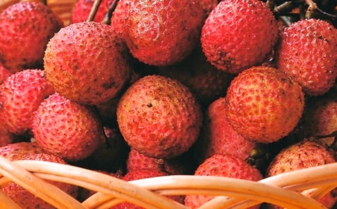 介绍荔枝的作文