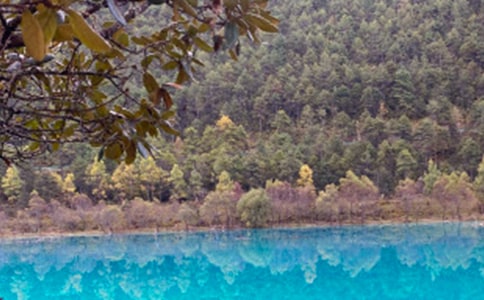 д����������