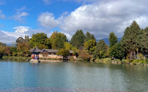 �����ų�����