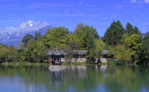 丽江古城作文大全(15篇)