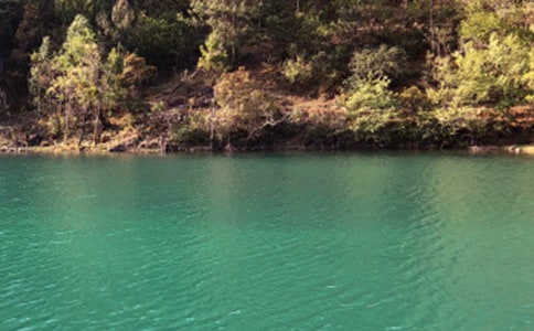 �������ų����ģ�ͨ��5ƪ��