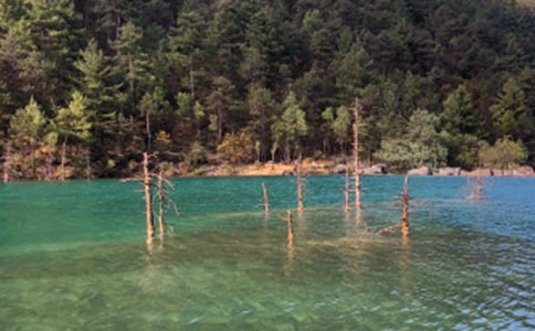 �����š������ų�����15ƪ