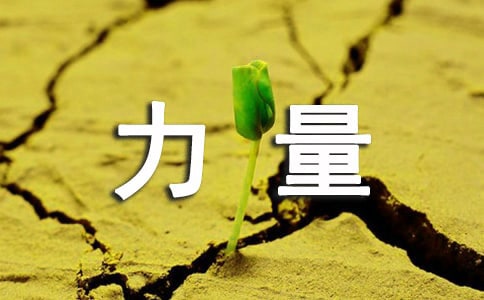 观看榜样的力量心得体会15篇(必备)