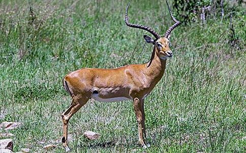 ������ľ�񡷶����18ƪ