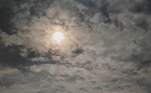 邂逅一个凌晨作文