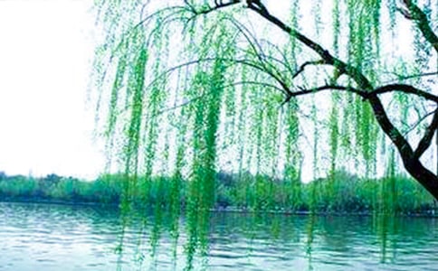 (��Ʒ)����������