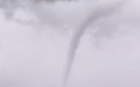 ���������ļ���15ƪ