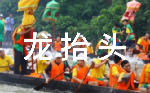 二月二龙抬头作文【集锦15篇】