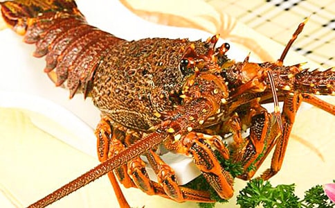 【精】小龙虾作文