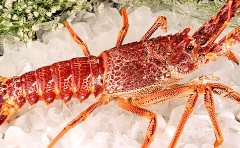 [����]����Ϻ����15ƪ